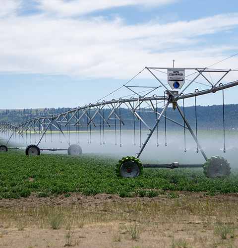 Irrigación Agrícola
